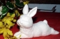 Preview: SCIOTO-Gießform - neu – Hase – gestreckt – 13,7 cm lang – USA