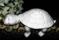 Preview: SCIOTO-Gießform - neu – Sleeping Shelf Turtle – Schlafende Regal-Schildkröte – 21 cm lang - USA