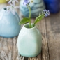 Preview: BOTZ PRO - Seladongrün - Celadon Green - 1020 - 1280 °C - 800 ml