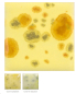 Preview: CG-1012 – Haystack - MAYCO Jungle Gems ® – Kristallglasur – NONTOXIC – 1.000 bis 1.045 °C - Cone 06 bis Cone 05 – 16oz = 472 ml
