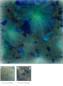 Preview: CG-962 – Blue Azure –  MAYCO Jungle Gems ® – Kristallglasur – NONTOXIC – 1.000 bis 1.045 °C - Cone 06 bis Cone 05 – 16oz = 472 ml