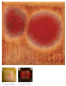 Preview: CG-972 – Dragon’s Breath – MAYCO Jungle Gems ® – Kristallglasur – NONTOXIC – 1.000 bis 1.045 °C - Cone 06 bis Cone 05 – 4oz = 118 ml