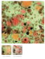 Preview: CG-982 – Mixed Melon –  MAYCO Jungle Gems ® – Kristallglasur – NONTOXIC – 1.000 bis 1.045 °C - Cone 06 bis Cone 05 – 16oz = 472 ml
