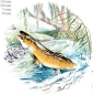 Preview: Keramik-Tasse - Becher mit Wunschname – Motiv: 1 x Fisch / Forelle