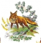 Preview: Decal – Fox – Fuchs – 90 mm Preview: Decal – Fox – Fuchs – 90 mm