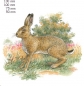 Preview: Decals – Hase – Brown Hare – 75 mm