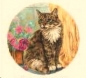 Preview: Keramik-Tasse - Becher mit Wunschtext – Motiv: 1 x Katze / Norwegian Forest