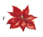 Preview: Keramik-Tasse  - Becher mit Wunschname – Motiv: 1 x Weihnachtsstern / Poinsettia