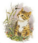 Preview: Keramik-Tasse  - Becher mit Wunschname – Motiv: 1 x Katze – 75 mm