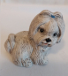 Preview: Hund – hell – Shih Tzu – 8 x 8 cm   – Handarbeit aus Keramik – aufwändig bemalt – Unikat