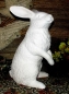 Preview: großer stehender Hase – 35 cm hoch – Schrühware