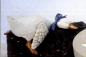 Preview: SCIOTO-Gießform - neu – Regal-Ente – schlafend – 21,5 cm lang – USA