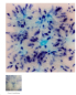Preview: S-2702 – Northern Lights – MAYCO Jungle Gems ® – Kristallglasur – NONTOXIC – 1.000 bis 1.045 °C - Cone 06 bis Cone 05 – 16oz = 472 ml
