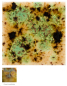 Preview: S-2709 – Cappuccino Mint – MAYCO Jungle Gems ® – Kristallglasur – NONTOXIC – 1.000 bis 1.045 °C - Cone 06 bis Cone 05 – 4oz = 118 ml