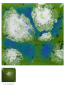 Preview: S-2715 – Spotted Kiwi – MAYCO Jungle Gems ® – Kristallglasur – NONTOXIC – 1.000 bis 1.045 °C - Cone 06 bis Cone 05 – 16oz = 472 ml