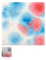 Preview: S-2731 – Kaboom – MAYCO Jungle Gems ® – Kristallglasur – NONTOXIC – 1.000 bis 1.045 °C - Cone 06 bis Cone 05 – 4oz = 118 ml