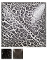 Preview: SG-201 – Black Cobblestone  – MAYCO Cobblestones – NONTOXIC – 1.000 bis 1.305 °C - Cone 06 bis Cone 10 – 16oz = 472 ml