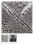 Preview: SG-202 – White Cobblestone  – MAYCO Cobblestones – NONTOXIC – 1.000 bis 1.305 °C - Cone 06 bis Cone 10 – 16oz = 472 ml