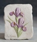 Preview: Wandkachel mit Iris – 23 x 15 cm – Schrühware