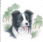 Preview: Keramik-Tasse  - Becher mit Wunschname – Motiv: 1 x Hund – Border Collie