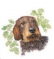 Preview: Keramik-Tasse - Becher mit Wunschtext – Motiv: 1 x Rauhaardackel – Hund