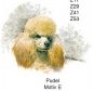 Preview: Keramik-Tasse - Becher mit Wunschname – Motiv: 1 x Hund / Pudel / Cream Poodle