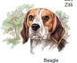 Preview: Keramik-Tasse  - Becher mit Wunschname – Motiv: 1 x Hund – Beagle