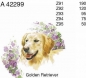 Preview: Keramik-Tasse  - Becher mit Wunschname – Motiv: 1 x Golden Retriever – Hund