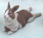 Preview: DUNCAN-Gießform - neu – Liegender Hase – 24 cm lang - USA