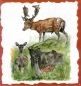 Preview: 8 Bögen je 17 x 37,5 cm – VLOEI-Dekormotiv03 - Damwild
