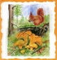 Preview: 10 Bögen je 17 x 37,5 cm - VLOEI-Dekormotiv 05 – Eichhörnchen