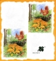 Preview: 10 Bögen je 17 x 37,5 cm - VLOEI-Dekormotiv 05 – Eichhörnchen
