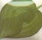 Preview: EZ Stroke - Ivy Green - 29,5 ml - Unterglasurfarbe von DUNCAN - Best of DUNCAN