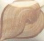 Preview: EZ Stroke - Cobblestone - 29,5 ml - Unterglasurfarbe von DUNCAN – DISC