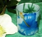 Preview: Glas-Teelichthalter - 6er-Set - verschiedene florale Muster – statt 9,95 €