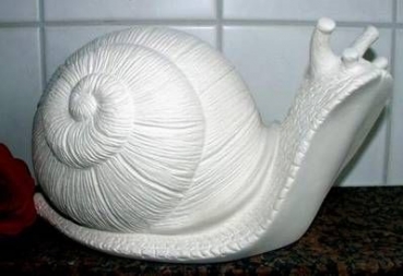 Scioto-Schnecke klein – Schrühware