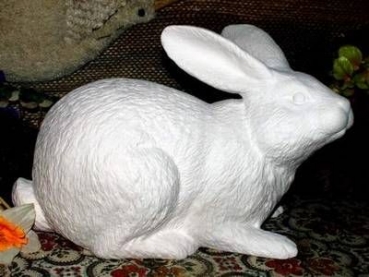 Hase - Schrühware