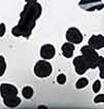 20075 – Dalmatian – semiopaque – Gloss Crystaltone von DUNCAN – 118 ml – Kegel 06 bis 05 = 1.015 bis 1.045 °C – NONTOXIC– Altbestand