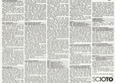 Preview: Technique Sheet 25c von SCIOTO –  mit der Lupe sind Details gut zu erkennen – Malanleitung auf Bild 2 – Gießformen lieferbar – bitte Preise anfragen