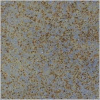 Herbstblaubraun - seidenglänzend - 800 ml - von BOTZ - DISC
