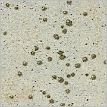 Steinbraun - 200 ml - von BOTZ