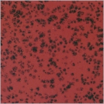 Rot gepunktet - 800 ml - von BOTZ