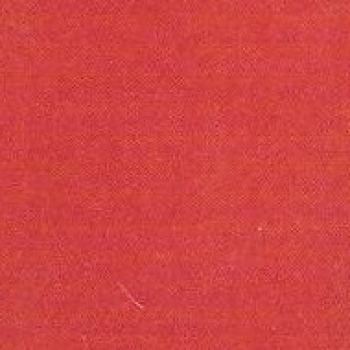 Rot Matt - 200 ml - von BOTZ - NEU!