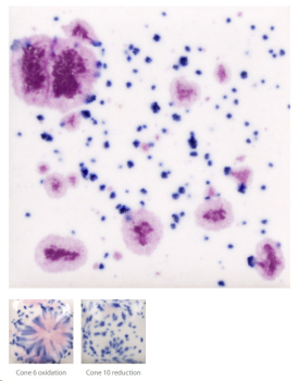 CG-1011 – Frosted Berries - MAYCO Jungle Gems ® – Kristallglasur – NONTOXIC – 1.000 bis 1.045 °C - Cone 06 bis Cone 05 – 16oz = 472 ml