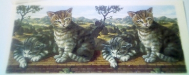 Decal – Katzen – Rundum-Motiv für Tassen / Becher – 20 x 9 cm