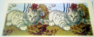 Decal – Katzen – Rundum-Motiv für Tassen / Becher – 19,5 x 8,5 cm