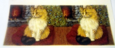Decal – Katzen – Rundum-Motiv für Tassen / Becher – 20 x 9 cm