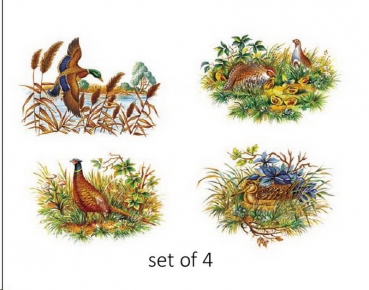 Decals – Wildgeflügel – 4er-Set – je 45 x 65 mm