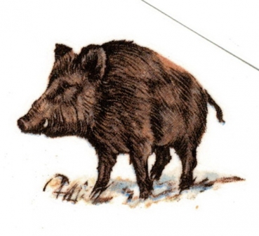 Decals – Wildschwein – 30 x 40 mm