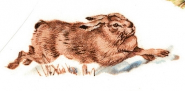 Decals – Hase – 60 x 20 mm